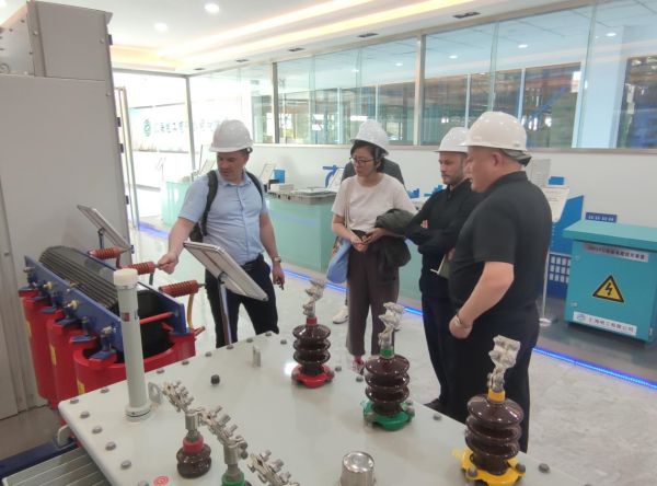 Tavrida electric公司一行5人来我公司现场考察